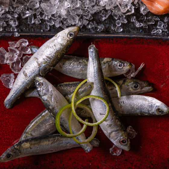 Whitebait